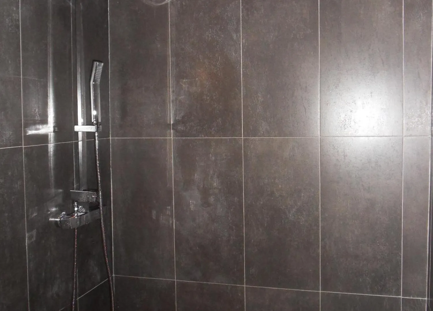 Savoy Hotel Le Bourget-du-Lac 3*,