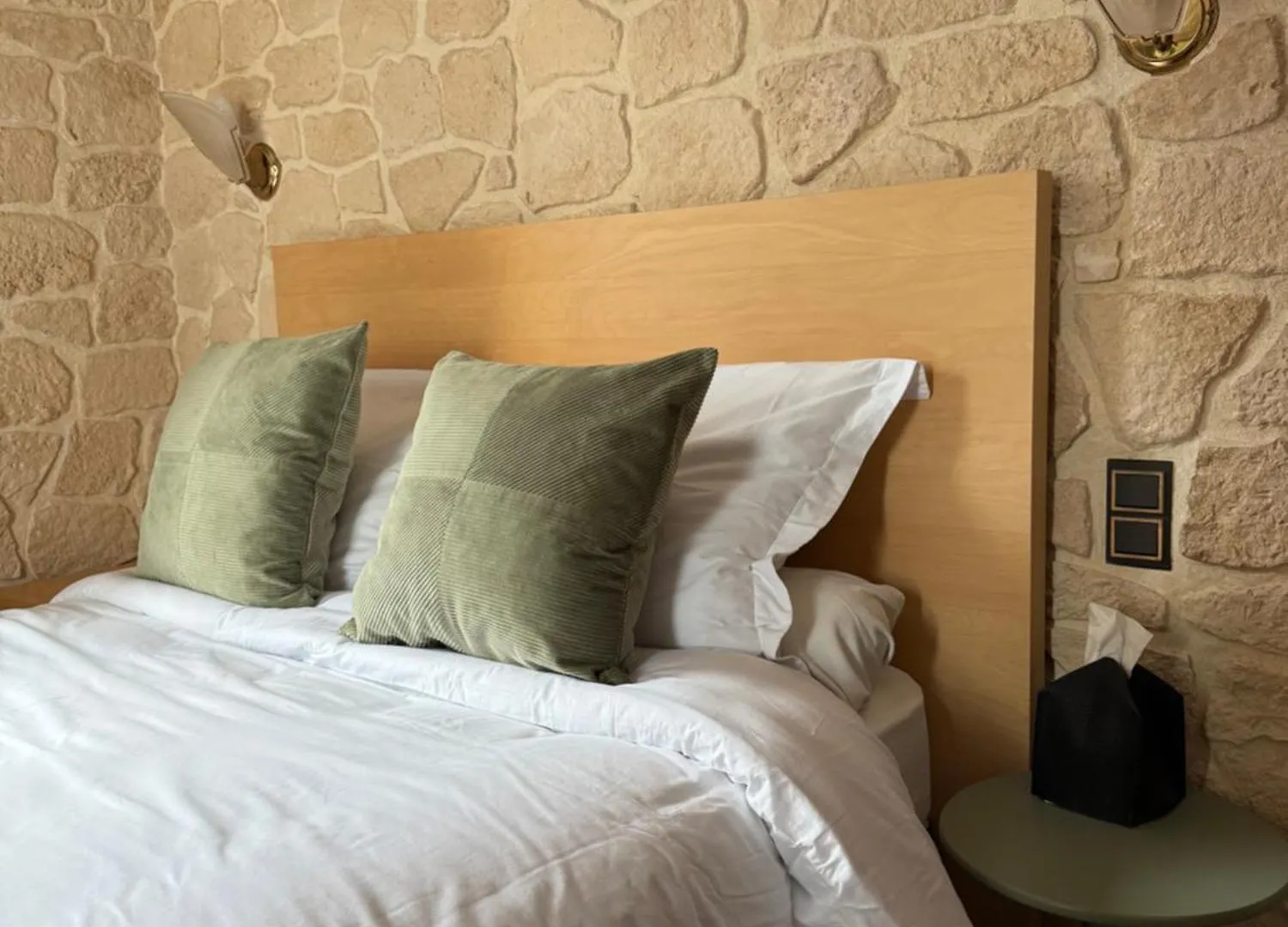 Savoy Hotel Le Bourget-du-Lac 3*,